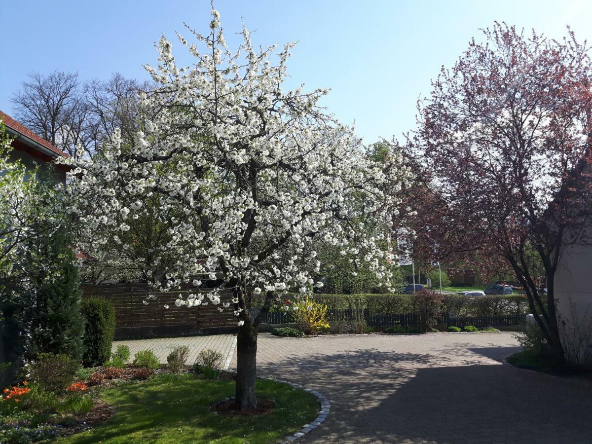 Der Kirschbaumhof Apartment Strullendorf Bagian luar foto